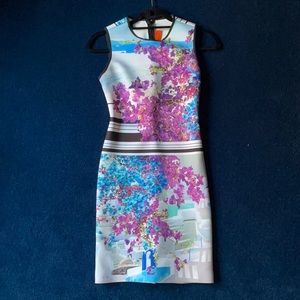 Clover Canyon Santorini Sleeveless Neoprene Dress